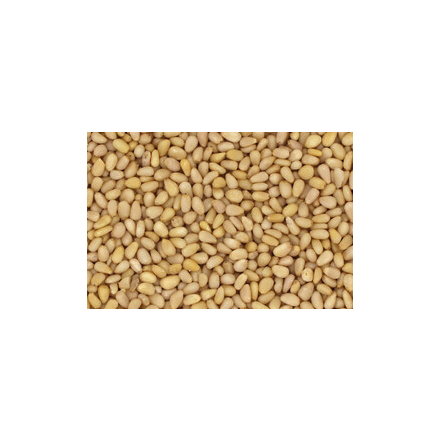 pinjekjerner 10 kg økologisk
