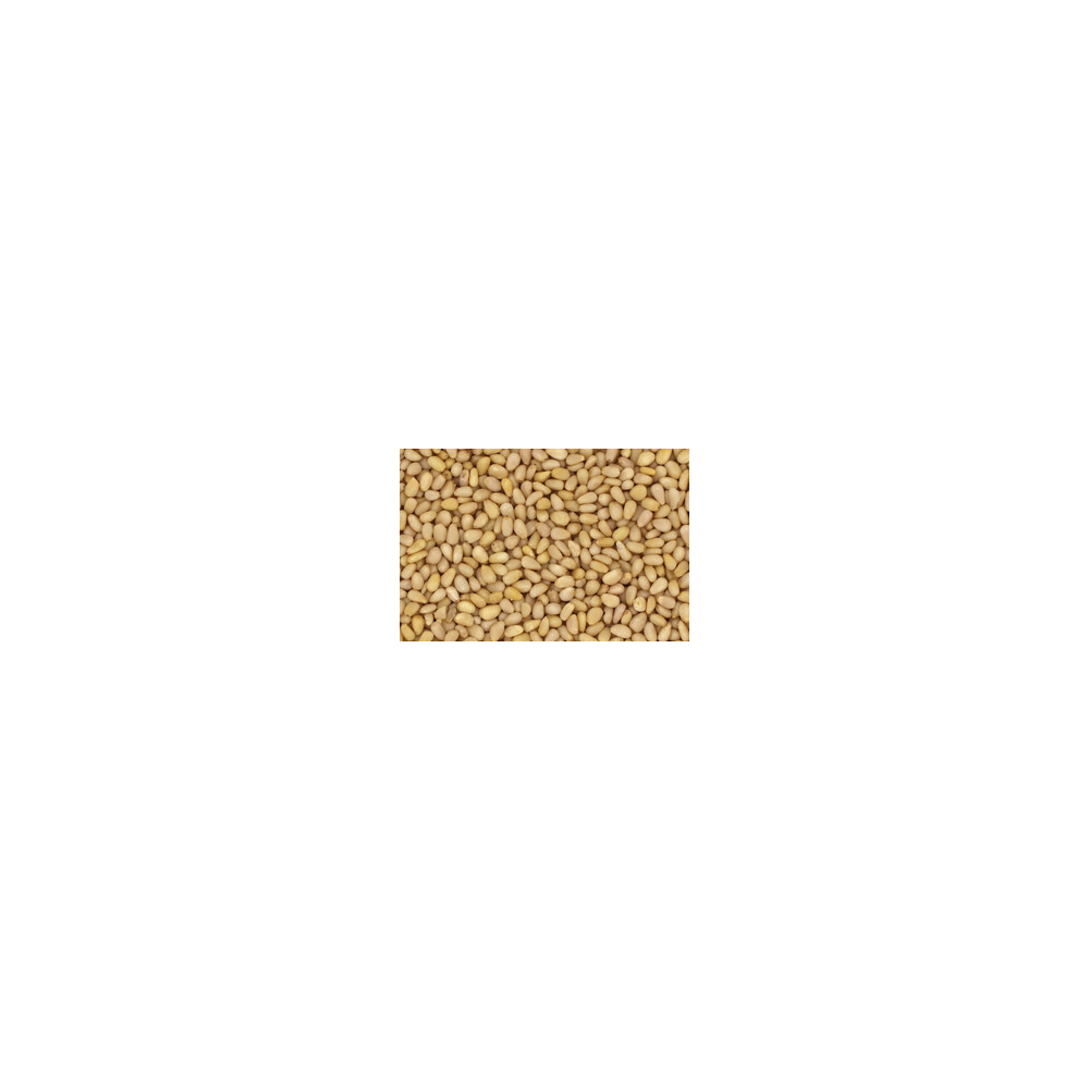 Pinjekjerner,10 kg, økologisk main product photo