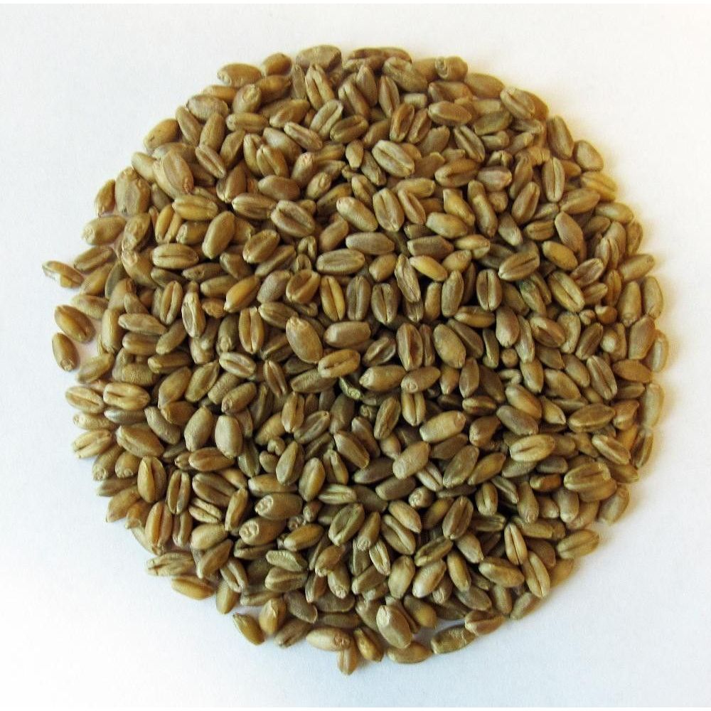Hvete, helkorn, 25 kg, økologisk main product photo